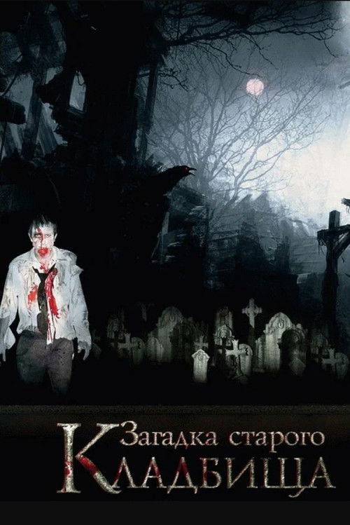 Загадка старого кладбища (2008) poster