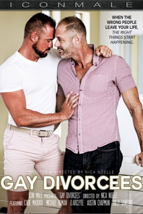 Gay Divorcees (2018) poster