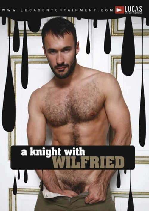 Auditions 28: A Knight With Wilfried (2008) poster