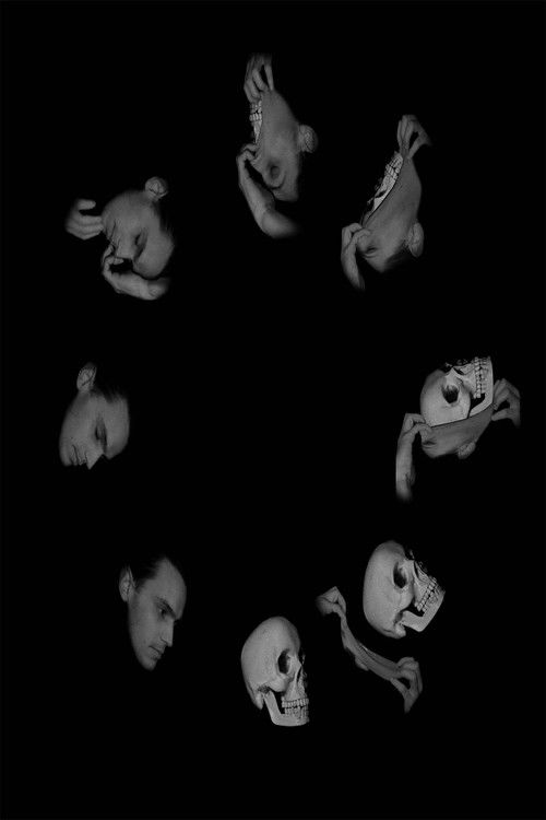 VISAGE-MASQUE (2010) poster