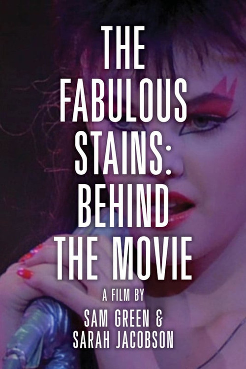 The Making of Ladies and Gentlemen, Fabulous Stains (1999) poster