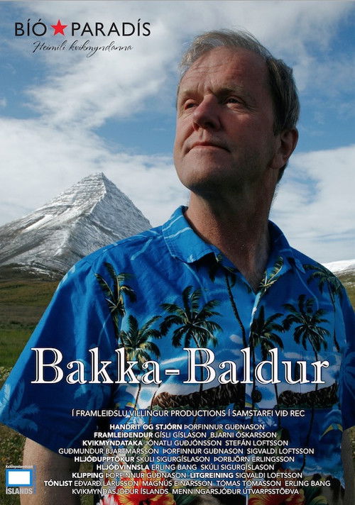 Baldur From Bakki (2011) poster