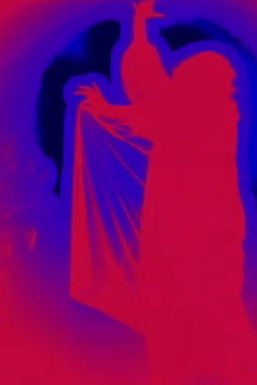 Pin-up in 3D (2009) poster