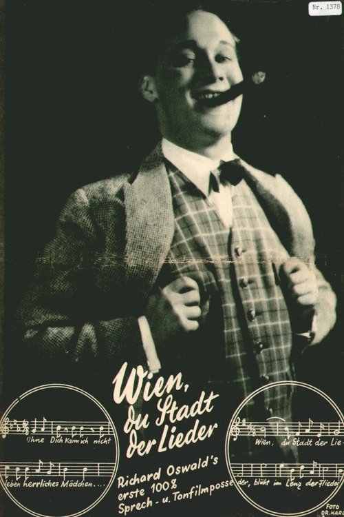 Vienna, City of Song (1930) poster