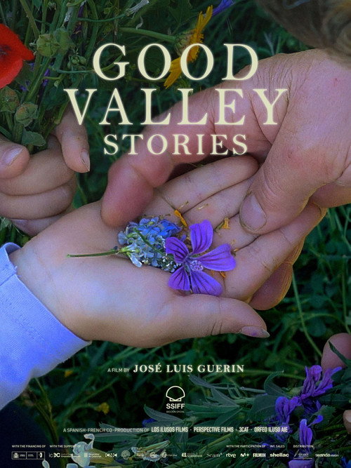 Historias del buen valle (2025) poster