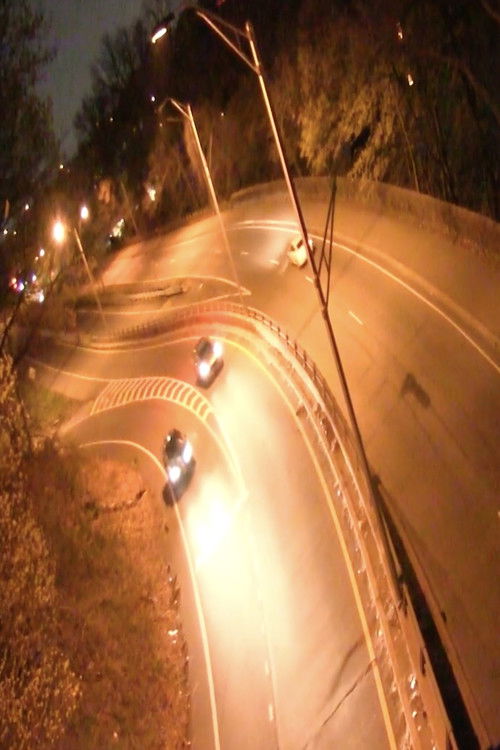 A Fanfare for the Altered Eye (2025) poster