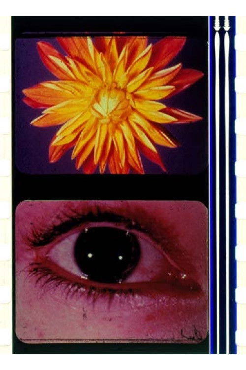 To the Happy Few (2003) poster