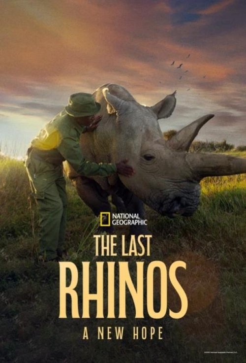 The Last Rhinos: A New Hope (2025) poster
