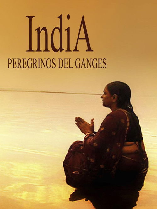 India, los peregrinos del Ganges (2013) poster
