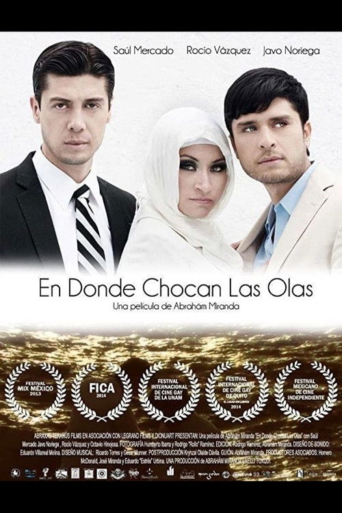 Where the Waves Collide (2013) poster