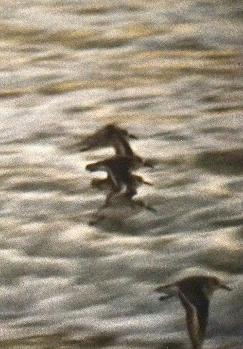 Four Diamonds (2016) poster