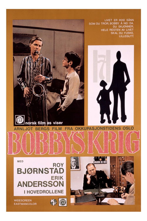 Bobby's War (1974) poster