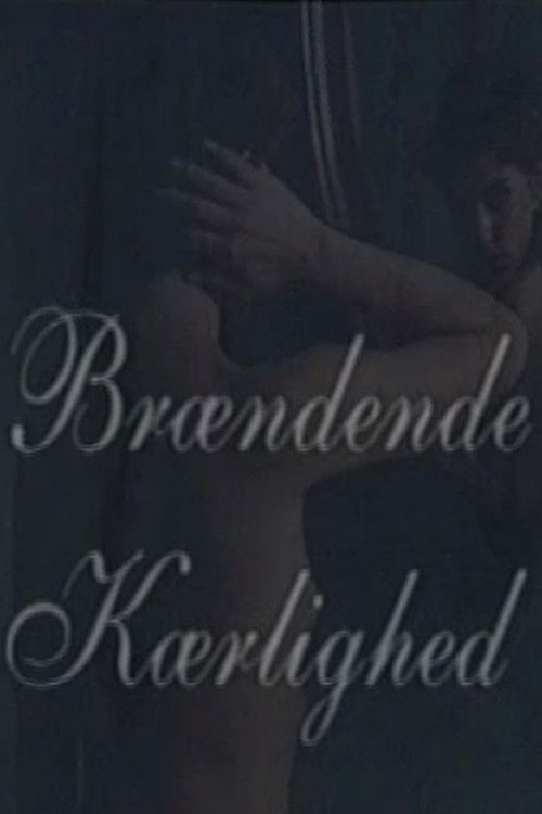 Brændende kærlighed (1996) poster