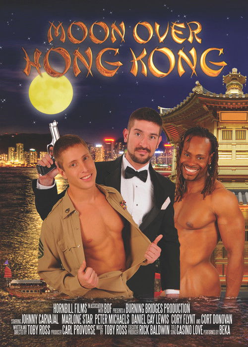 Moon Over Hong Kong (2008) poster
