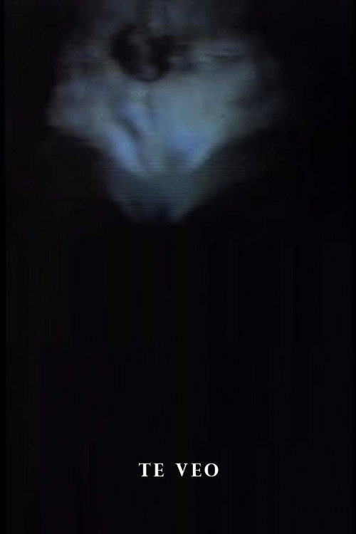 Te Veo (1973) poster