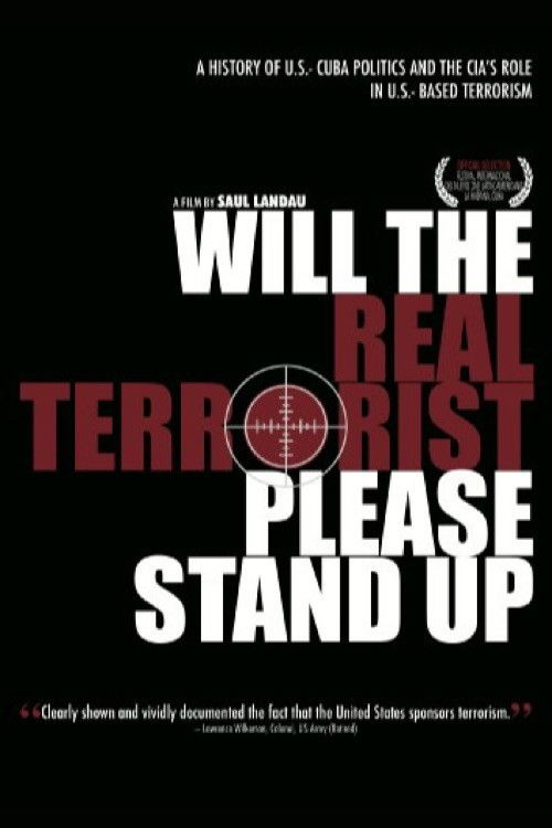 Will the Real Terrorist Please Stand Up (2010) poster