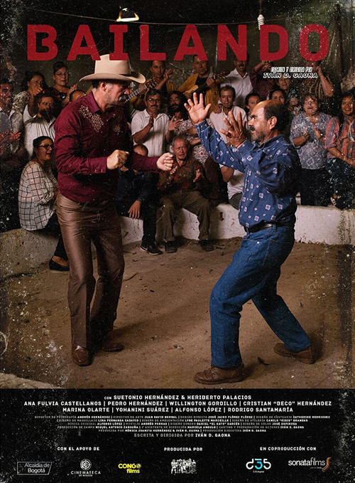 Bailando (2020) poster