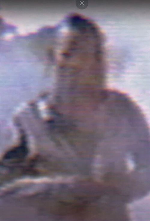 FAMILY DANCE (2017) poster