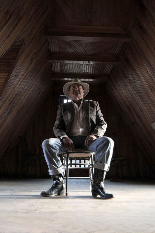 La casa de Walter (2017) poster