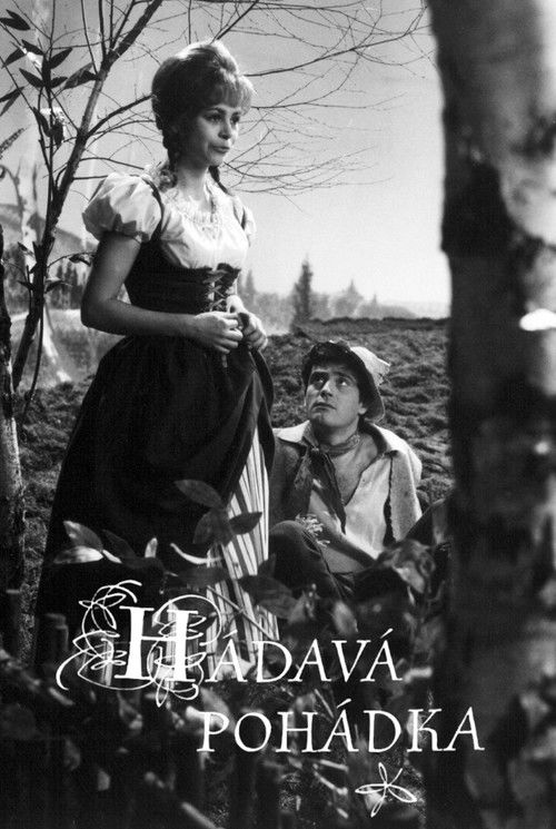 Hádavá pohádka (1970) poster