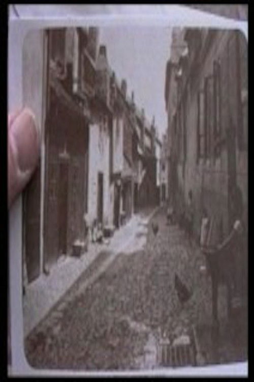 For the Benefit of Mr. K (1995) poster