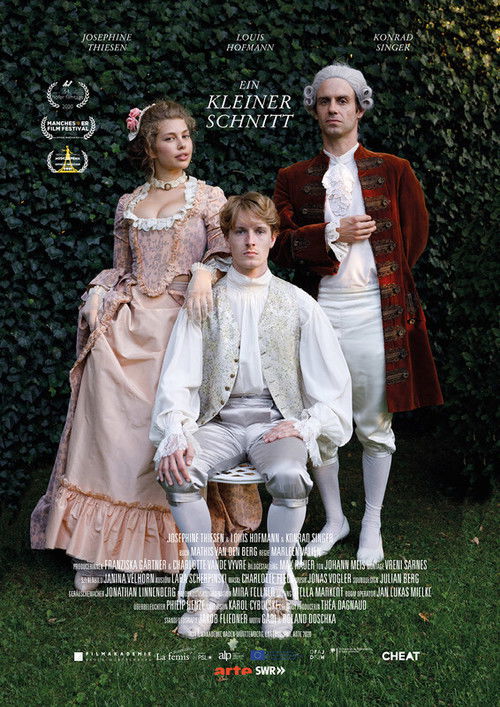 A Small Cut (2020) poster