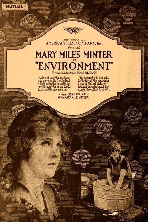 Environment (1917) poster