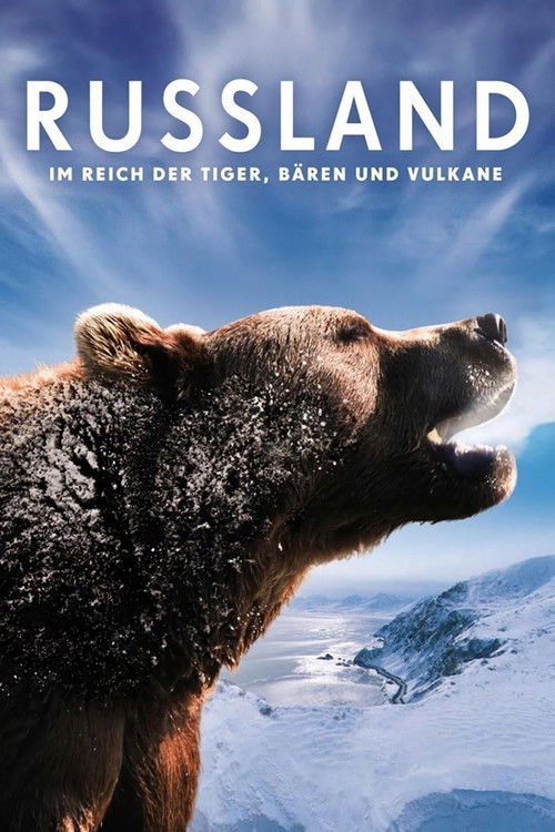Russland - Im Reich der Tiger, Bären und Vulkane (2011) poster