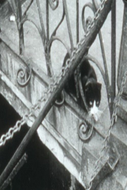 Mulberry Street (1956) poster