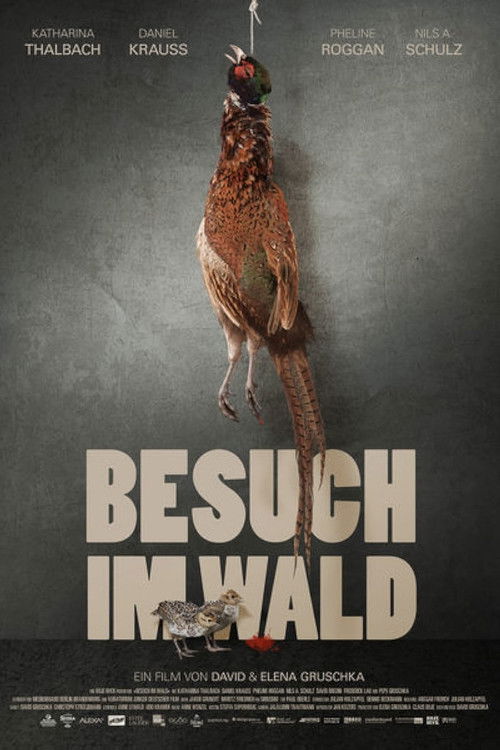 Besuch im Wald (2015) poster