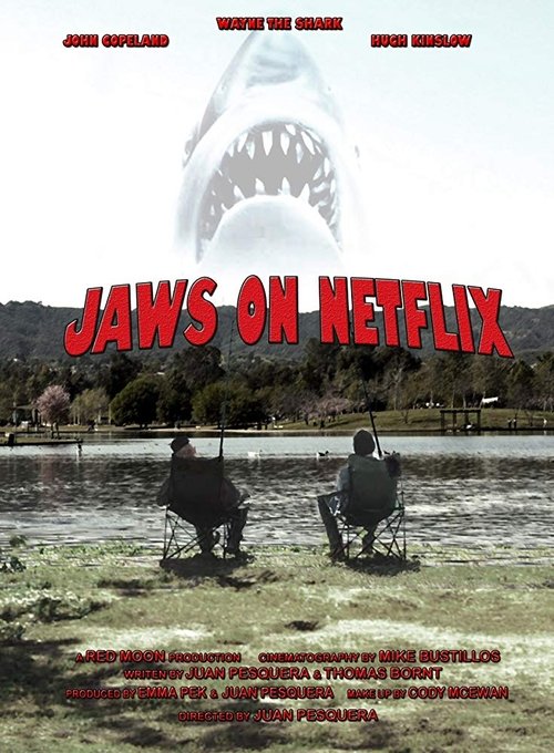 Jaws on Netflix (2013) poster