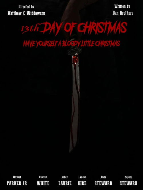 13th Day of Christmas (2021) poster