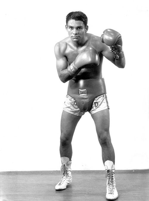 Fists of a Nation (2005) poster