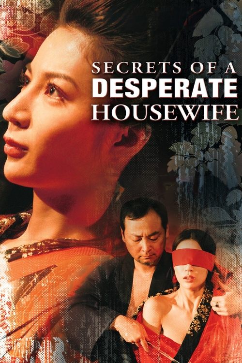 Secrets of a Desperate Housewife (2008) poster