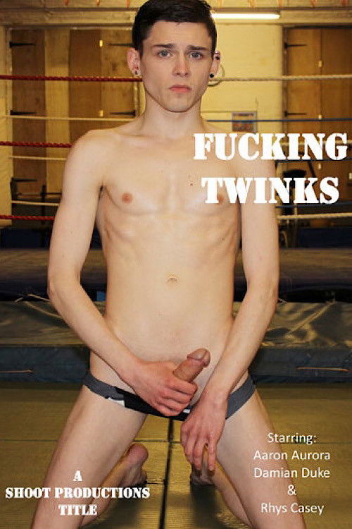 Fucking Twinks (2017) poster
