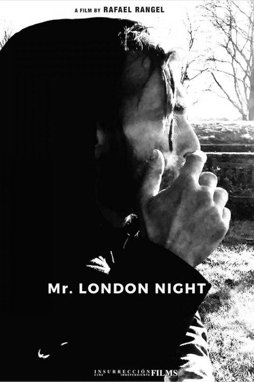 Mr. London Night (2024) poster