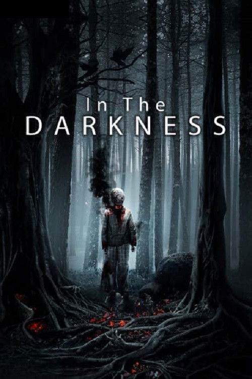 In the Darkness (2018) poster
