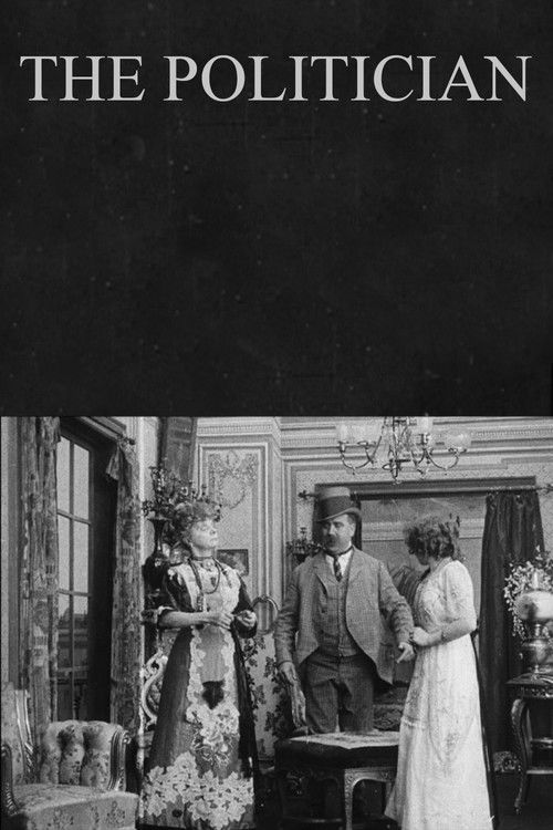 The Politician (1913) poster