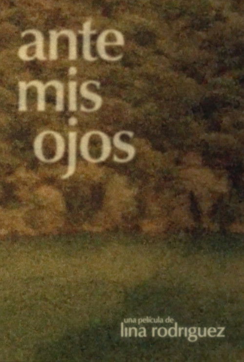 Ante mis ojos (2018) poster