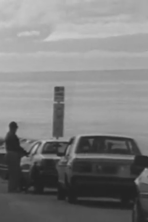 Four or Five Accidents, One June... (1989) poster