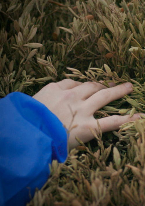 Without Bounds to Beat (2019) poster