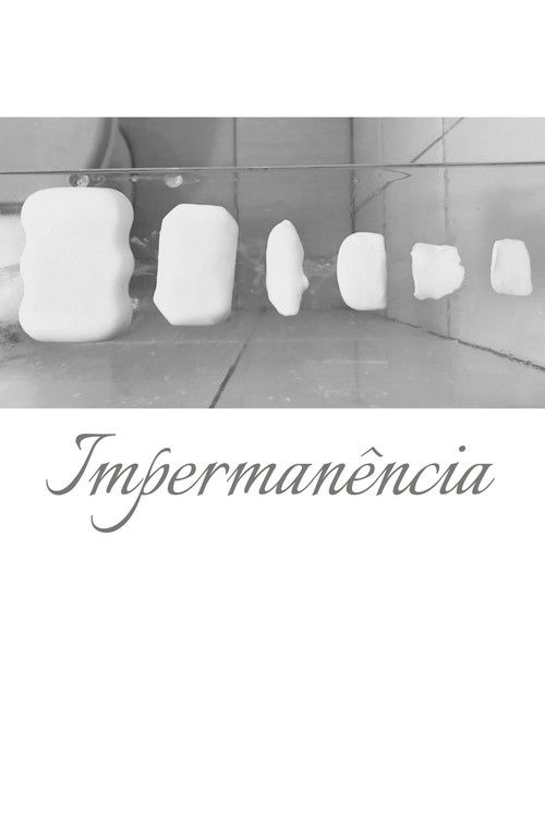 Impermanence (2022) poster
