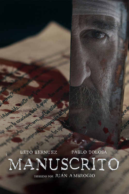 Manuscript (2024) poster