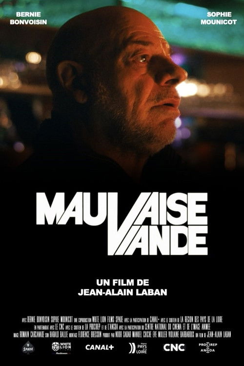 Bad meat (2024) poster