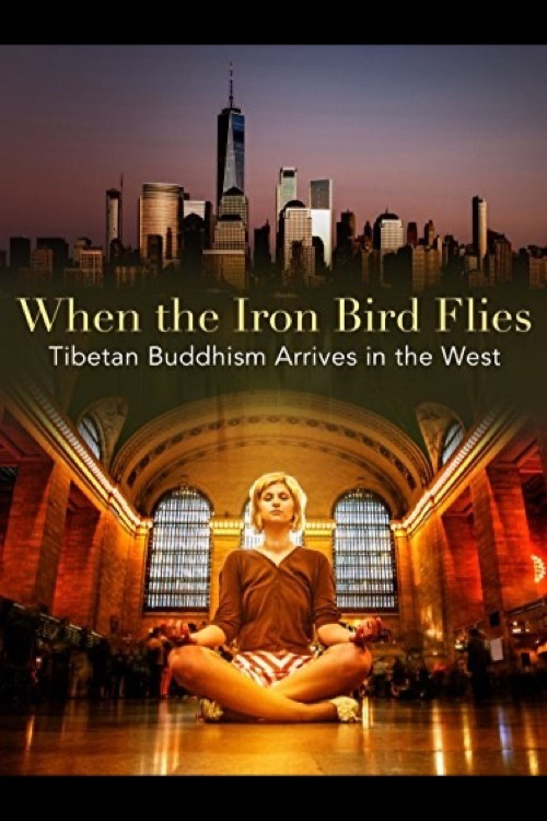 When the Iron Bird Flies (2012) poster