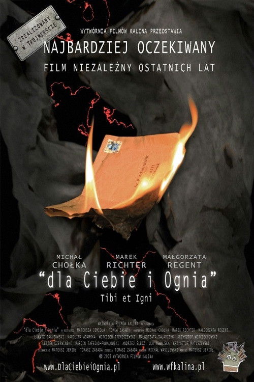 For You and for Fire (2008) poster