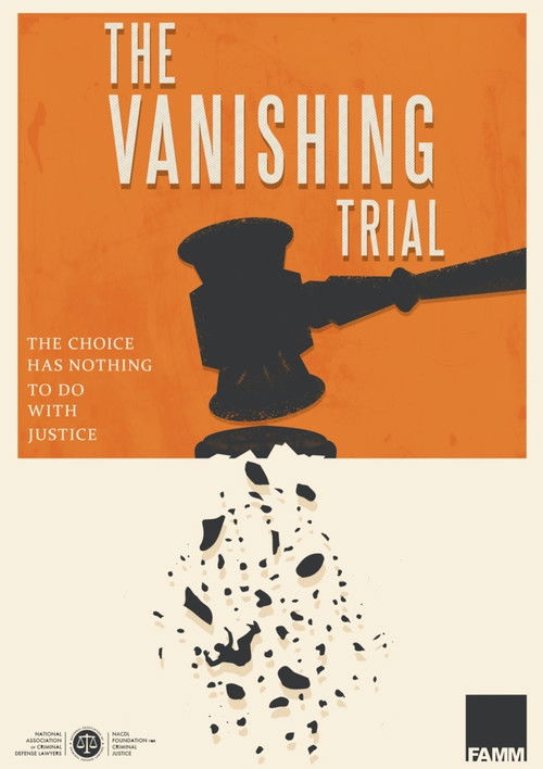 The Vanishing Trial poster