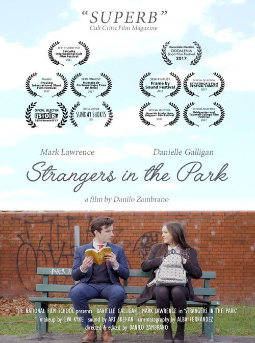 Strangers in the Park (2017) poster