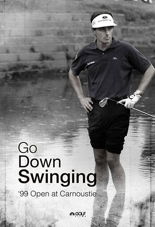 Go Down Swinging (2018) poster