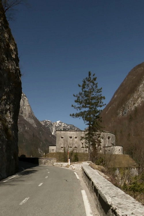 Nothing Should Surprise Us (2021) poster